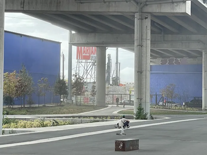 Skate Park Picture 8