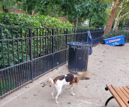 Cooper Park Dog Run