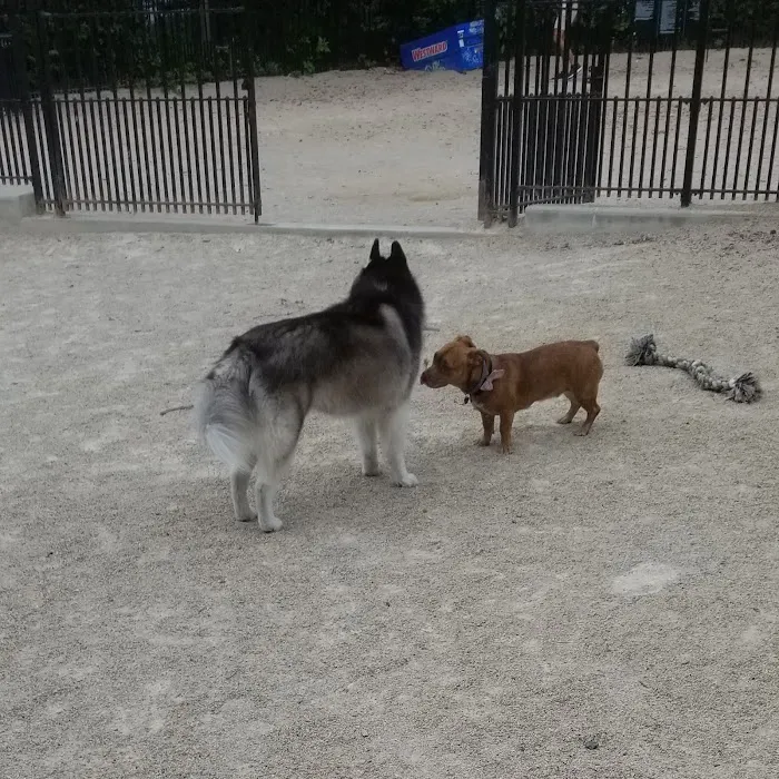 Cooper Park Dog Run Picture 5