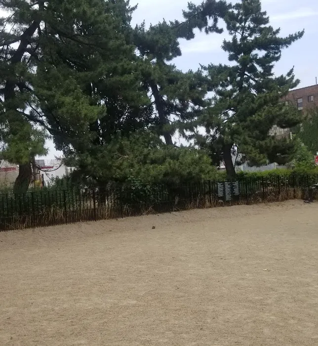 Cooper Park Dog Run Picture 3