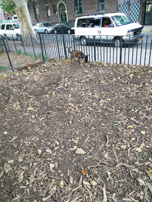 Cooper Park Dog Run Picture 10