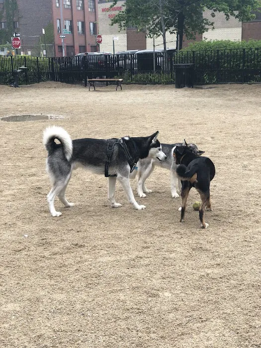 Cooper Park Dog Run Picture 6