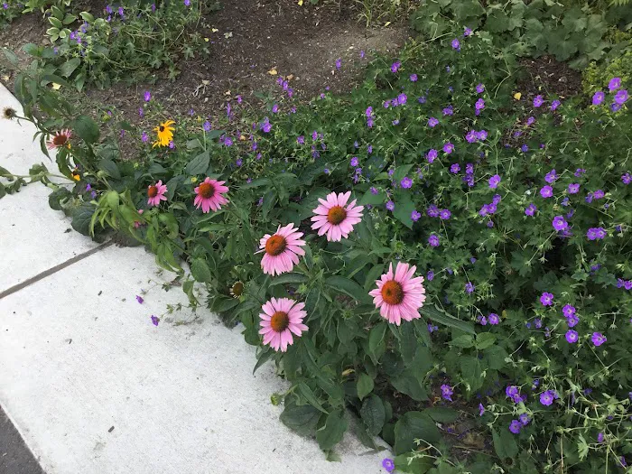 Under the ‘K’ Bridge Park Picture 8