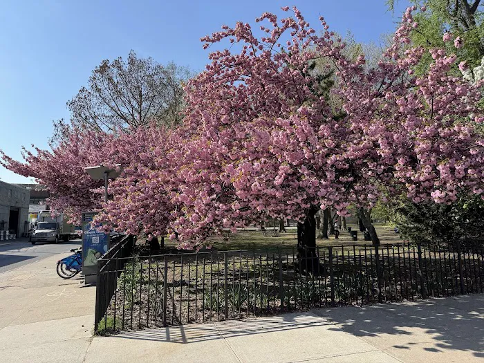 Cooper Park Picture 2