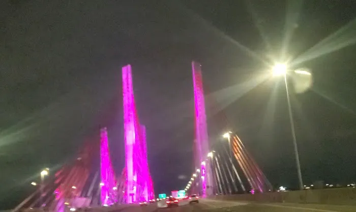 Kosciusko Bridge Walkway & Bike Path Picture 6