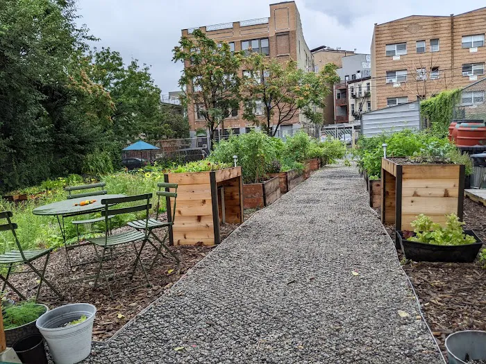 Stockholm Street Community Garden Picture 8