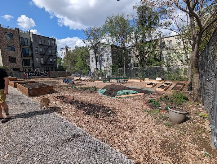 Stockholm Street Community Garden Picture 1