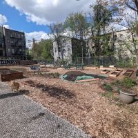 Stockholm Street Community Garden ico
