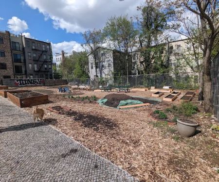Stockholm Street Community Garden