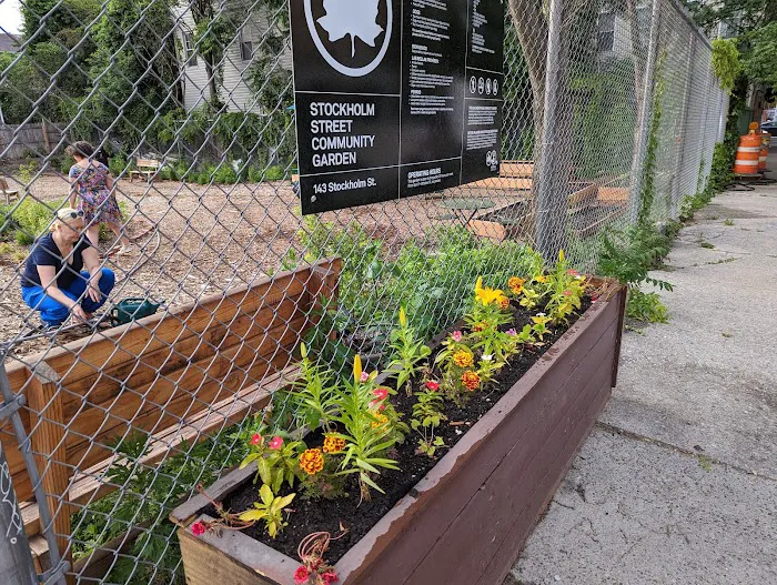 Stockholm Street Community Garden Picture 5