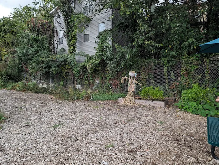 Stockholm Street Community Garden Picture 4