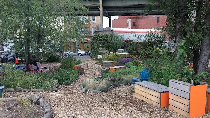 Know Waste Lands Community Garden Picture 10