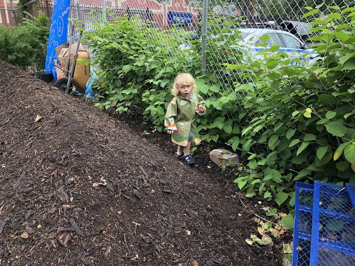 Know Waste Lands Community Garden Picture 8
