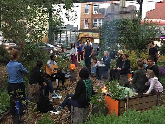 Know Waste Lands Community Garden Picture 2