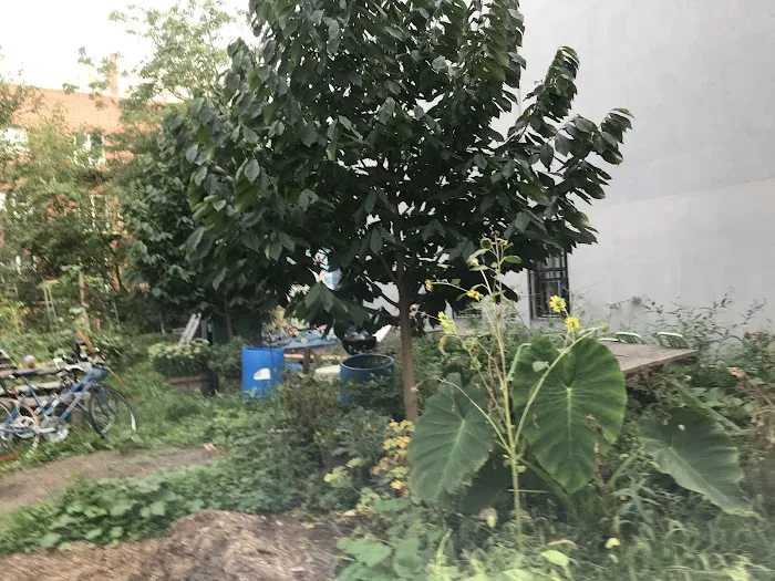 EL Garden Picture 7