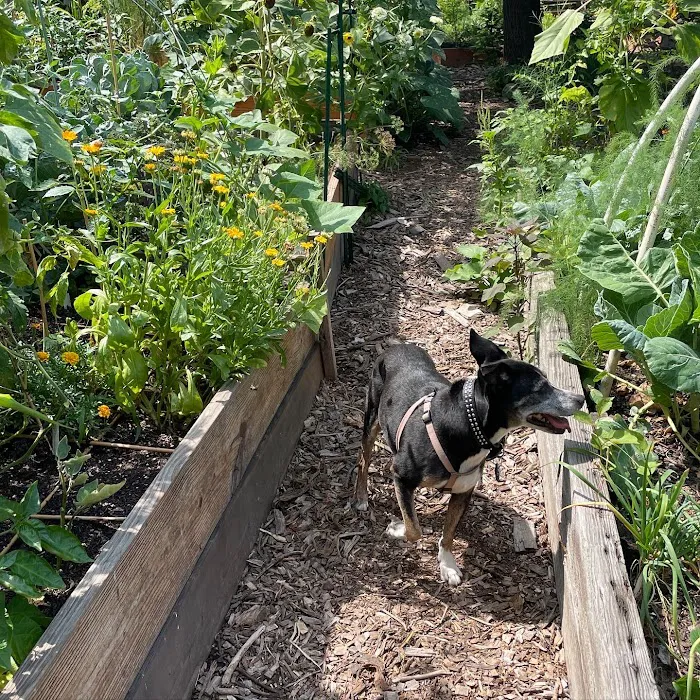 EL Garden Picture 8