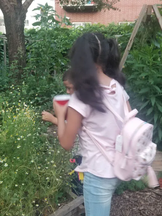 EL Garden Picture 3