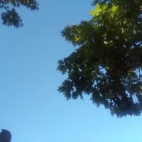 Kosciuszko Park ico