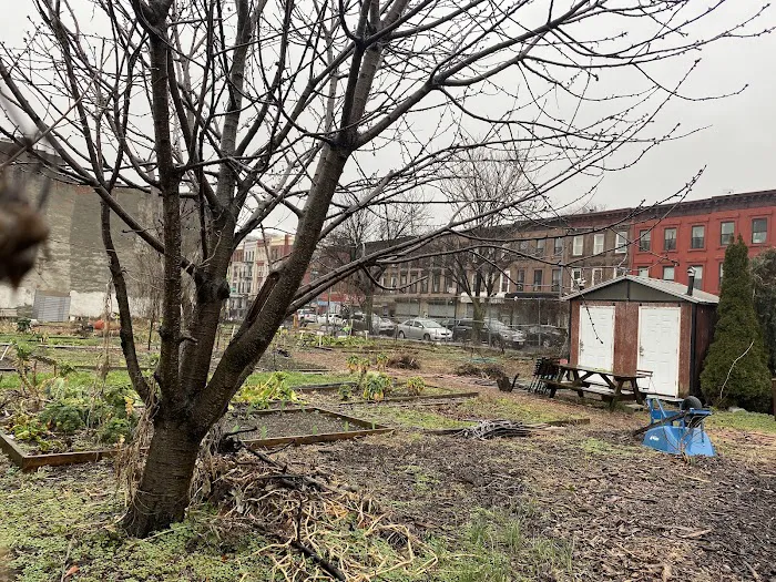 Phoenix Community Garden Picture 1