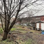Phoenix Community Garden