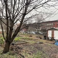Phoenix Community Garden ico