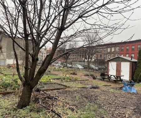 Phoenix Community Garden