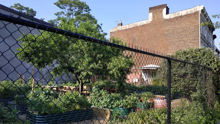 721 Decatur Street Community Garden Picture 2