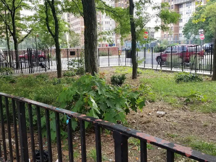 Houston Playground Picture 6