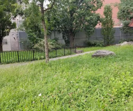 Houston Playground