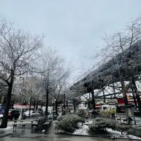 Woodside Memorial Plaza ico