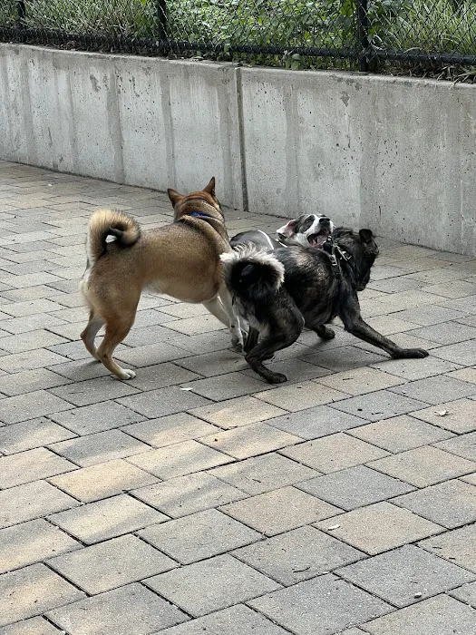 Doughboy Plaza Dog Run Picture 1