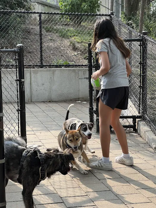 Doughboy Plaza Dog Run Picture 7