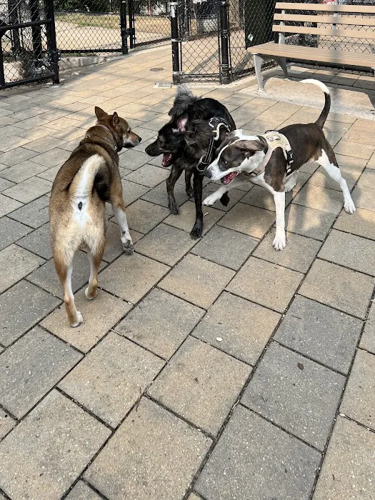 Doughboy Plaza Dog Run Picture 9
