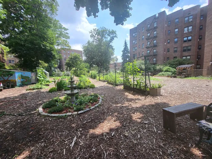 Moore Jackson Community Garden Picture 3