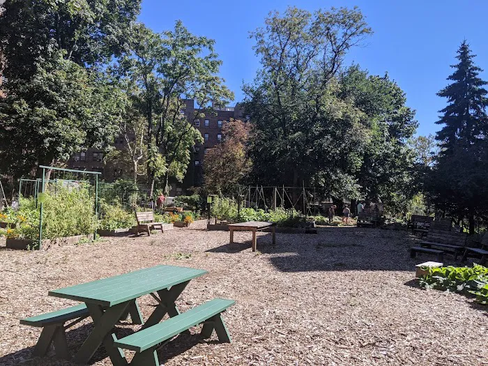 Moore Jackson Community Garden Picture 10