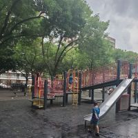 Lawrence Virgilio Playground ico