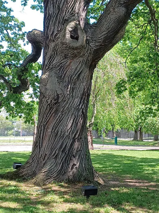 Rye Recreation Picture 1