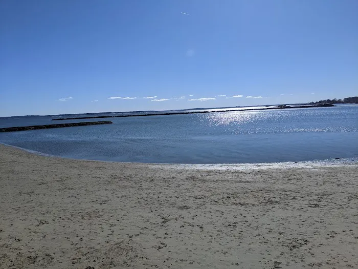 Dog beach parking Picture 1