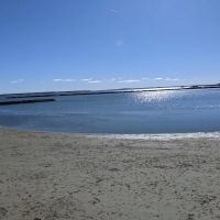 Dog beach parking ico