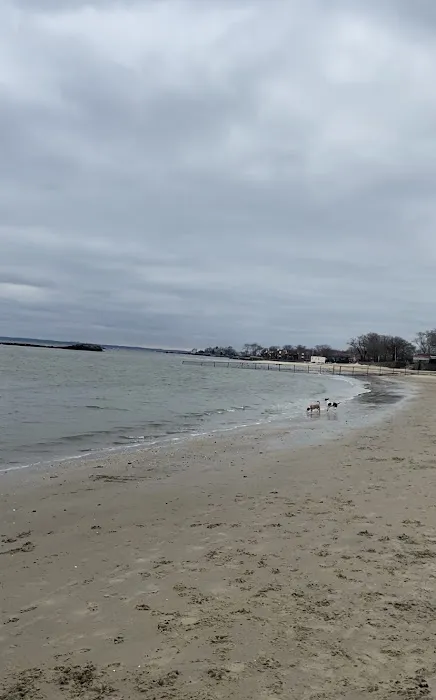Dog beach parking Picture 5