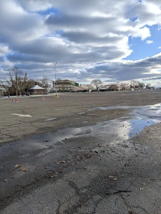 Dog beach parking Picture 10