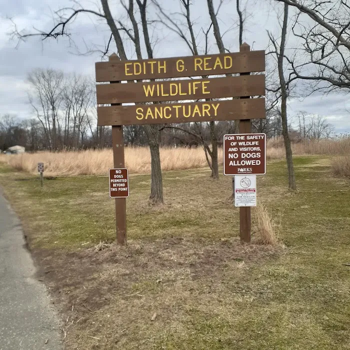 Edith G. Read Natural Park and Wildlife Sanctuary Picture 6