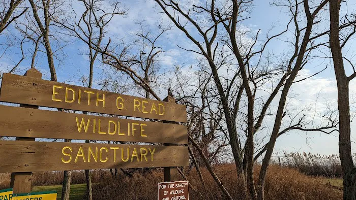 Edith G. Read Natural Park and Wildlife Sanctuary Picture 10