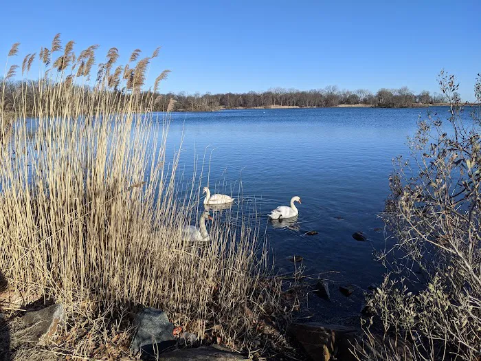 Edith G. Read Natural Park and Wildlife Sanctuary Picture 9