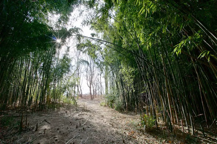 Edith Read Wildlife Sanctuary Picture 6