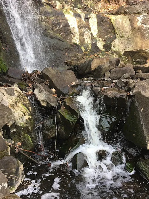 Green Brook Waterfall格林`布魯克瀑布 Picture 9