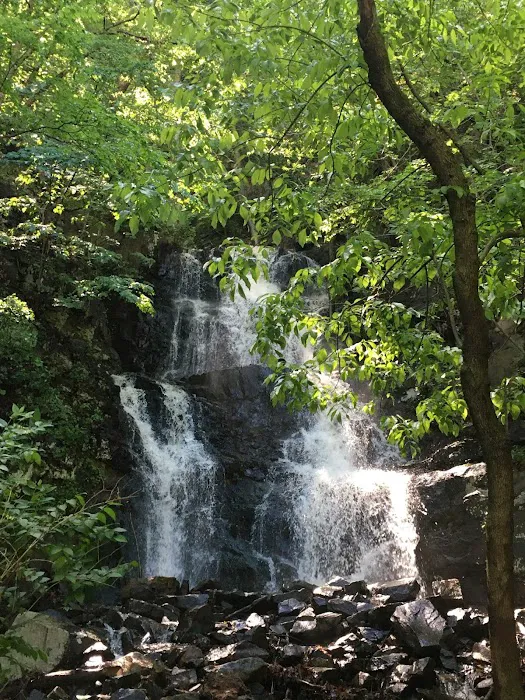 Green Brook Waterfall格林`布魯克瀑布 Picture 5