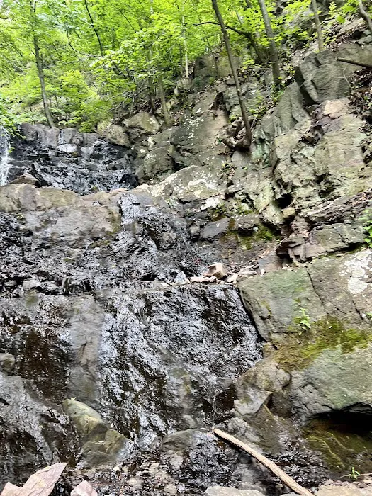 Green Brook Waterfall格林`布魯克瀑布 Picture 4