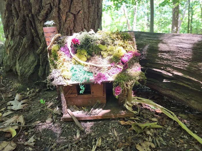 Tenafly Nature Center- Bellflower Fairy Trail Picture 4