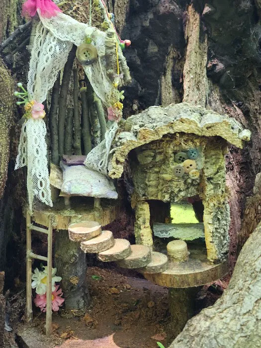 Tenafly Nature Center- Bellflower Fairy Trail Picture 3